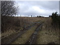 Gate and stile, Cae