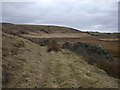 Dilapidated stone wall