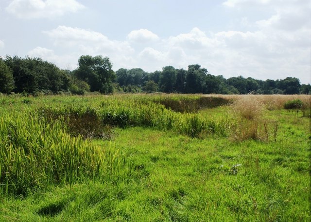 Wet grassland on the floodplain of the... © Simon Mortimer :: Geograph Britain and Ireland