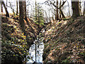 Outfall stream from Blakemere Moss