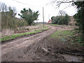 Access road to properties south of Hill Farm