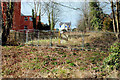 Vacant house, Lisburn (2)