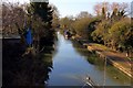 The Oxford Canal from Aristotle Lane Bridge looking south