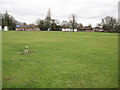 Ifield Green: Inclosure Boundary Stone