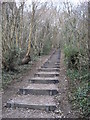 Steps within Trosley Country Park