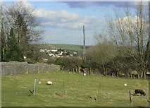 ST6560 : 2010 : Hobb's Wall, near Farmborough by Maurice Pullin