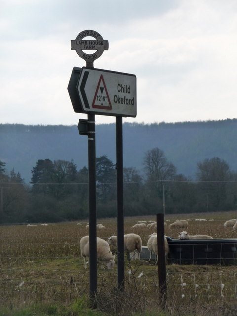 Shillingstone: road sign and sheep near Lamb House Farm