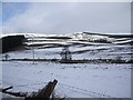 View towards Davoch Plantation