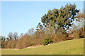 Daventry: Eastern Way playing field