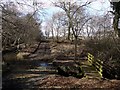 Ford and footbridge south of Longwitton Dene