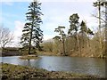 Lake east of Longwitton Dene