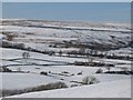 Snowy West Allen Dale near Hawkuplee