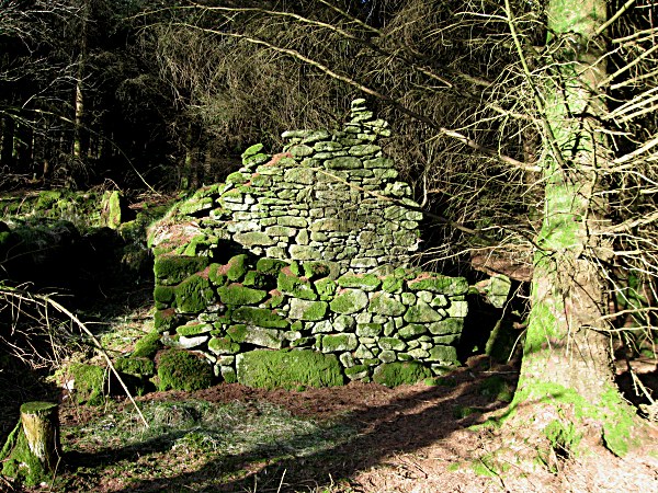 Farmhouse Ruin