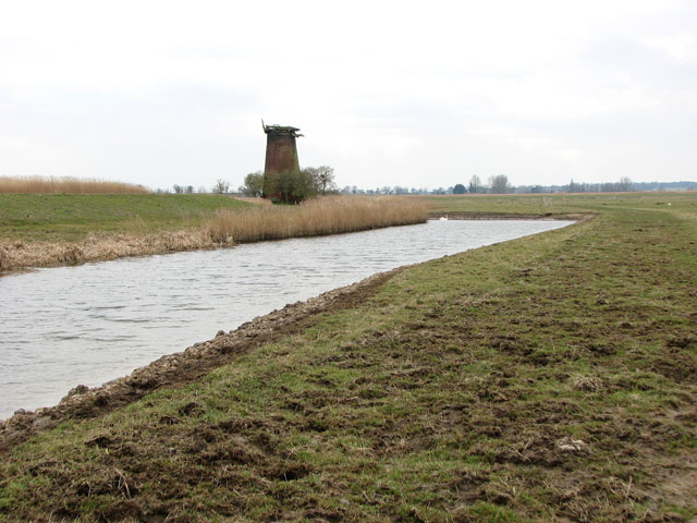 Drain north of the River Yare