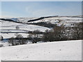 Snowy West Allen Dale around Hawkuplee