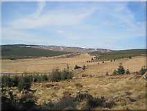 NY6792 : View of Dry Burn Valley by Les Hull