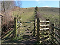 The footpath leading up Codden Hill from Bishops Tawton