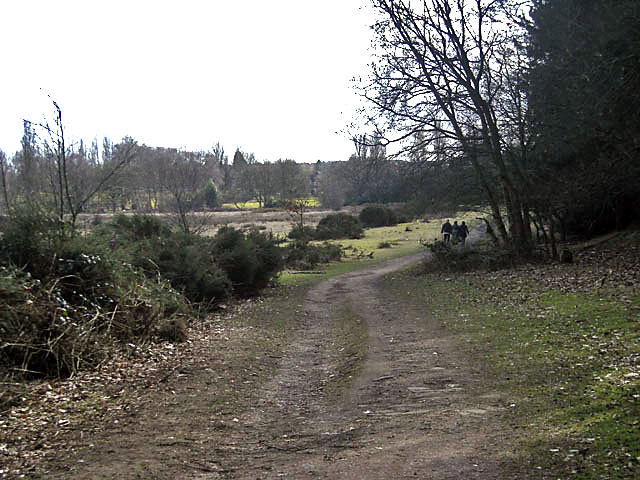 Path beside Westwood Coppice