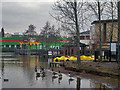 SJ6908 : Forlorn Southwater Lake in Town Park by Row17