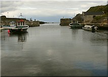 D0345 : Ballintoy Harbour by Andrew Wood