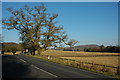 The A438 at Bromesberrow