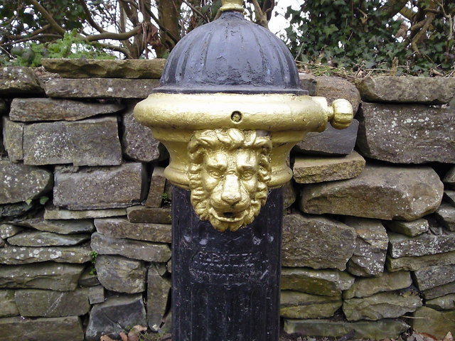 Pump, Co Meath (detail)
