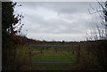 Gate to an orchard, Petteridge Lane