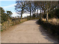 Bridlepath to Harwood Fields