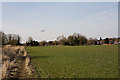 Field south of Bishopstoke