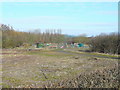 South Marston allotments