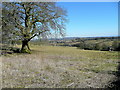 View towards the Forest of Dean