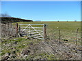 Gate into pasture