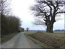 TM2958 : Country Road by Keith Evans