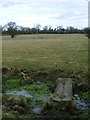 Field path, Swinford