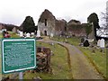 C2518 : Killydonnell Friary by Kenneth  Allen