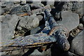 Rusting ironwork, Redcliff Bay