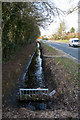 Ditch beside Allington Lane