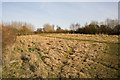 Rough  Land south of Strawberry Mead