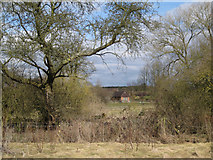 SP2368 : Glebe Farm, Haseley by Robin Stott