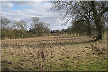 SP2368 : Tussocky grass near Glebe Farm, Haseley by Robin Stott