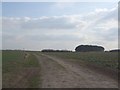 Farm Track off High Street Scotton