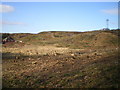 Deforestation and devastation on Paddock Mound, Dawley