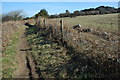 ST4274 : Footpath above Pigeon House Bay by Philip Halling