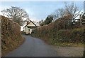 Lane to Willesleigh Cross