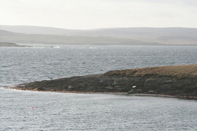 Seals on the point at the north side of Elvis Voe