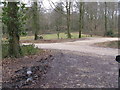 Picnic area and car park in Eartham Woods