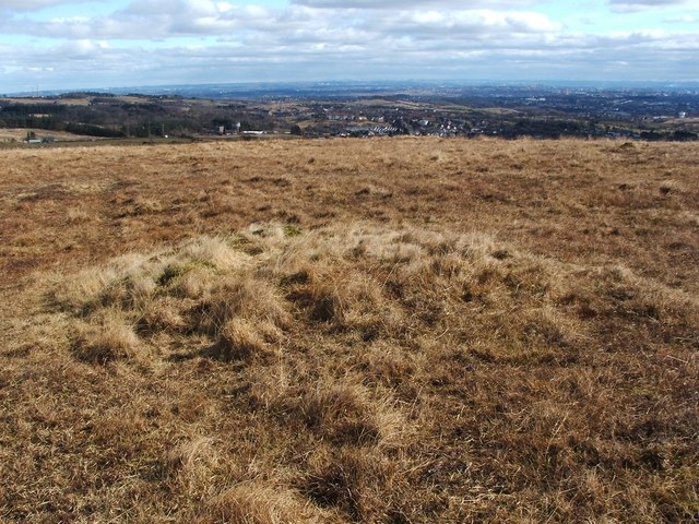 Small mound on the moor
