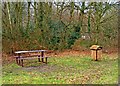 Picnic table and litter bin on Westfield Common