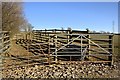 Cattle Pen by the Field Gate