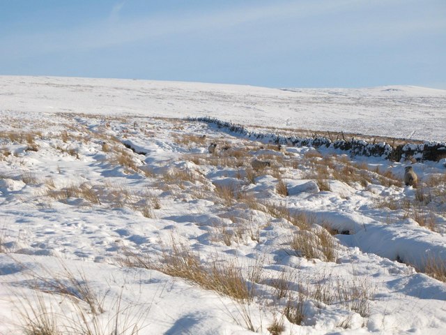 Snowy moorland above Dryburn Hall © Mike Quinn :: Geograph Britain and ...